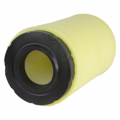 Filtro Aire Briggs Cilindrico 793569