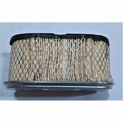 Filtro De Aire Tractor Briggs Stratton Vanguard 491021