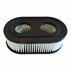 Filtro Aire Briggs Straton Cortadora 550 Ex 625 Ex 798452