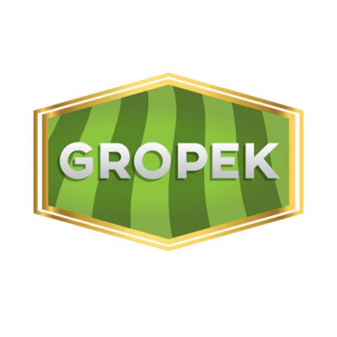 Gropek