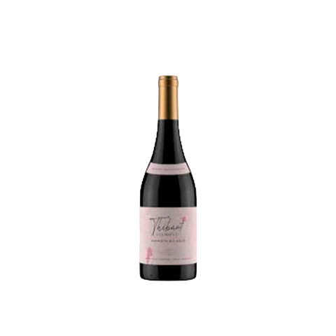 THIBAUT DELMOTTE GSM