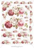 TRANSFER COLOR TF 11 ROSAS ROJAS