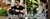 Banner de iSell Salta