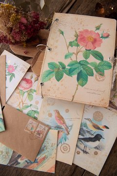 JOURNAL BOTANICAL "Rosas roja y rosa"