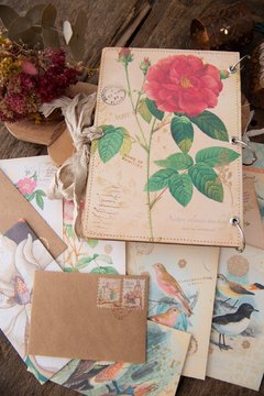 JOURNAL BOTANICAL "Rosas roja y rosa" - comprar online