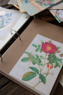 JOURNAL BOTANICAL "Mariposa Beige" - The Artmaking Company