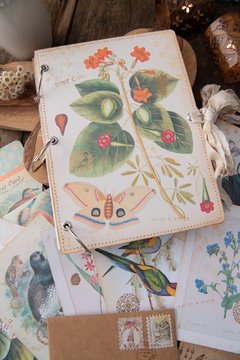 JOURNAL BOTANICAL "mariposa y magnolia"