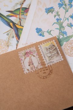 JOURNAL BOTANICAL "mariposa y magnolia" - tienda online