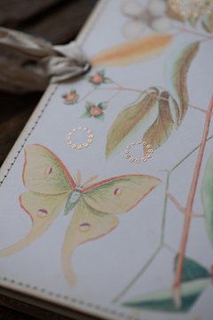 Imagen de JOURNAL BOTANICAL "Mariposa Beige"