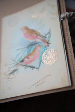 JOURNAL BOTANICAL "Mariposa y frutos" en internet