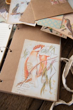 JOURNAL BOTANICAL "Pajaros" - The Artmaking Company