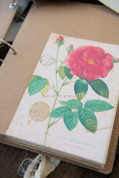 JOURNAL BOTANICAL "mariposa y magnolia"