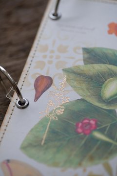 JOURNAL BOTANICAL "Mariposa Beige" en internet