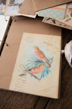 JOURNAL BOTANICAL "Pajaros" - tienda online