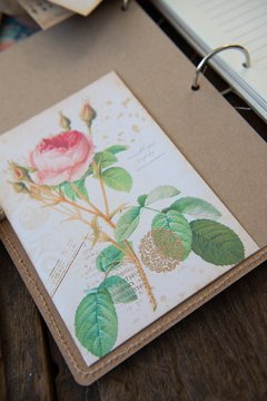 JOURNAL BOTANICAL "mariposa y magnolia" - tienda online