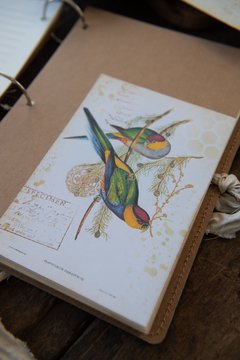 JOURNAL BOTANICAL "mariposa y magnolia" - The Artmaking Company