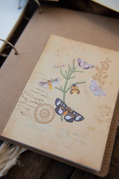 Imagen de JOURNAL BOTANICAL "mariposa y magnolia"