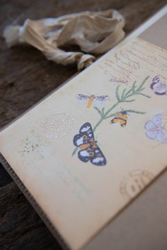 JOURNAL BOTANICAL "mariposa y magnolia"