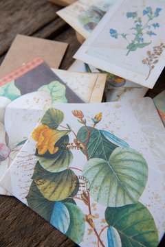 JOURNAL BOTANICAL "Magnolia" - tienda online