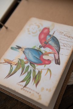 JOURNAL BOTANICAL "Rosas rojas y rosas" - tienda online