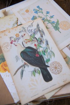 JOURNAL BOTANICAL "mariposa y magnolia" - The Artmaking Company