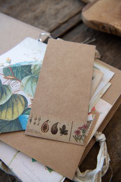 JOURNAL BOTANICAL "mariposa y magnolia" - tienda online