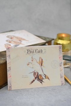 VINTAGE POSTCARDS (SET COMPLETO X12) - The Artmaking Company