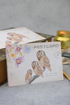 VINTAGE POSTCARDS BUHOS (X6) SURTIDAS en internet