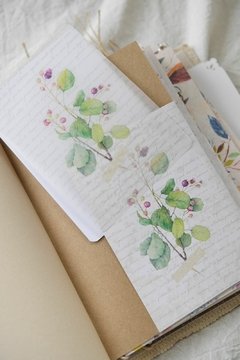 Imagen de Journal tipo Midori grande tapa blanda