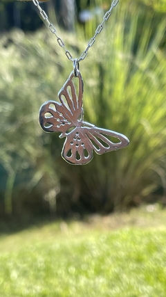 Collar Butterfly en internet