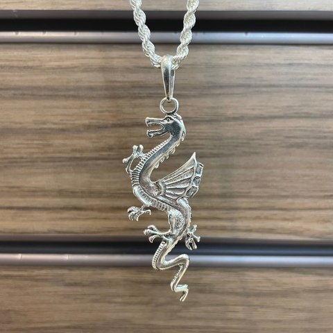 Pingente Dragão 6,4X2,6cm Prata Legítima 925 - comprar online