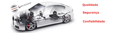 Imagen del carrusel 1