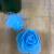 Flor de EVA com Tule 3cm - (2 peças) - Hellemimports