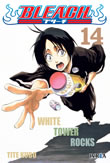 BLEACH 14 (españa)