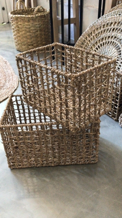 Canastos Rígidos