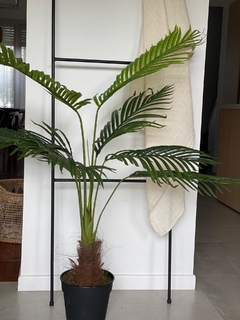 Palmera 1,20 - comprar online