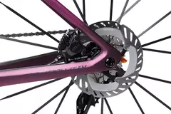 Imagen de SUNPEED VICTORY TEAM - EDICION LIMITADA