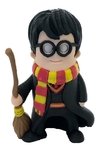 Harry Potter Con Nimbus