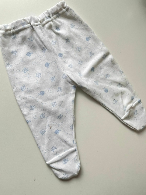 Ranita Importada (48)