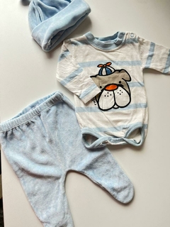 Trio celeste perrito TRN Pachi (238)