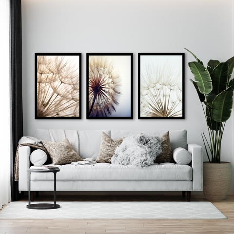 Kit Dente Leão Brown