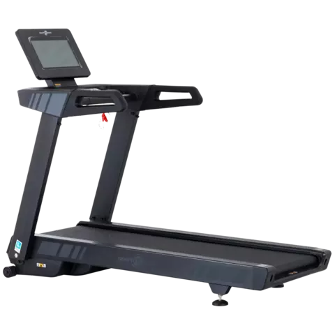 Banda Trotadora Aviñon