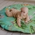 Playmat