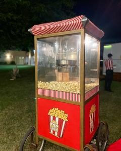 POCHOCLERA Y COPOS DE AZUCAR - tienda online