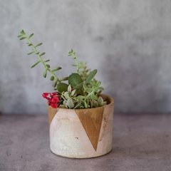 Fondo para foto rigido - comprar online