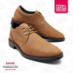 ZAPATOS DAVID