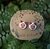 Aros fijos Mononoke