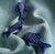 Ballena azul en internet