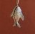 Ballena azul - comprar online