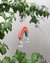 Cairel arcoiris - comprar online